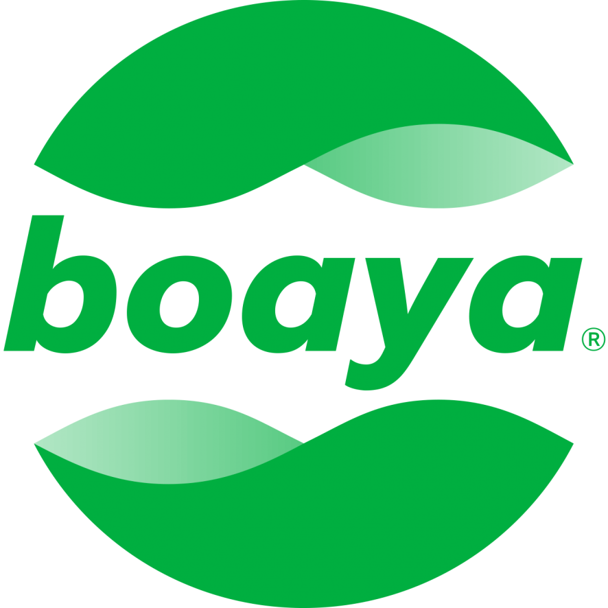 BOAYA S.L.