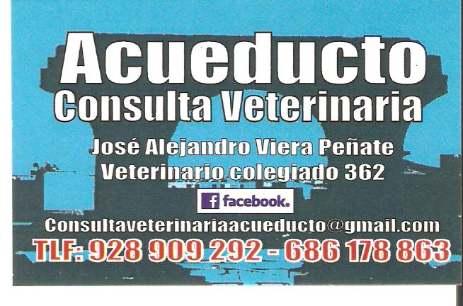 jovipe veterinario slp