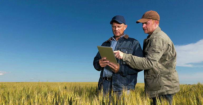 Agricultura y big data, un matrimonio de conveniencia