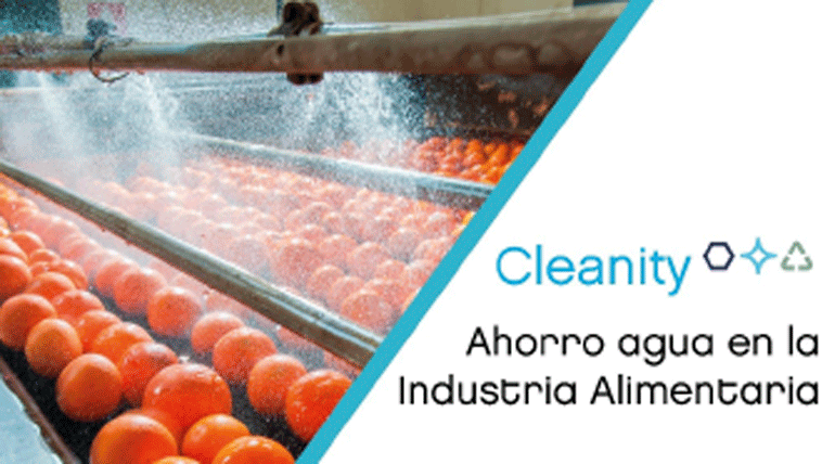 Cleanity