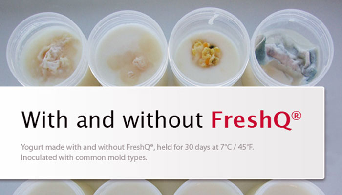 FreshQ: Cultivos bioprotectores para productos lácteos frescos
