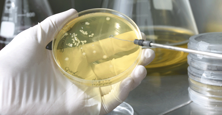 A&B Laboratorios de Biotecnología impulsa la limpieza urbana más sostenible