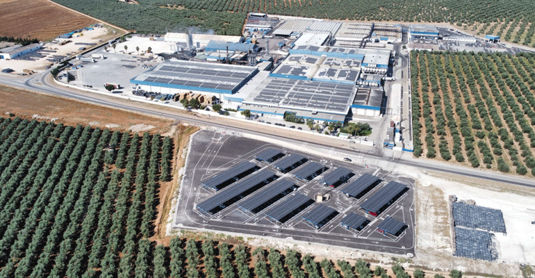 Agrosevilla consolida en 2025 unas ventas de 196 millones de euros