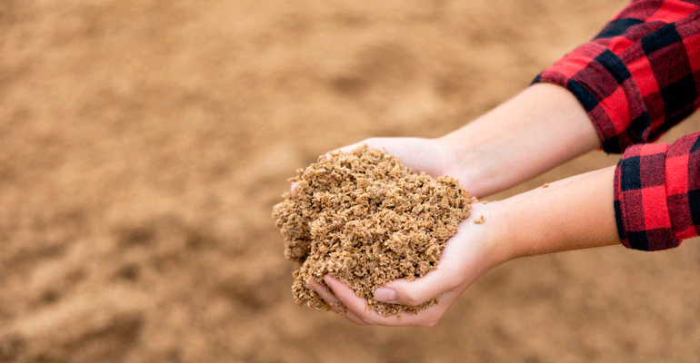 Hijos de Rivera y Blendhub avanzan hacia la alimentación del futuro con ImpacTaste