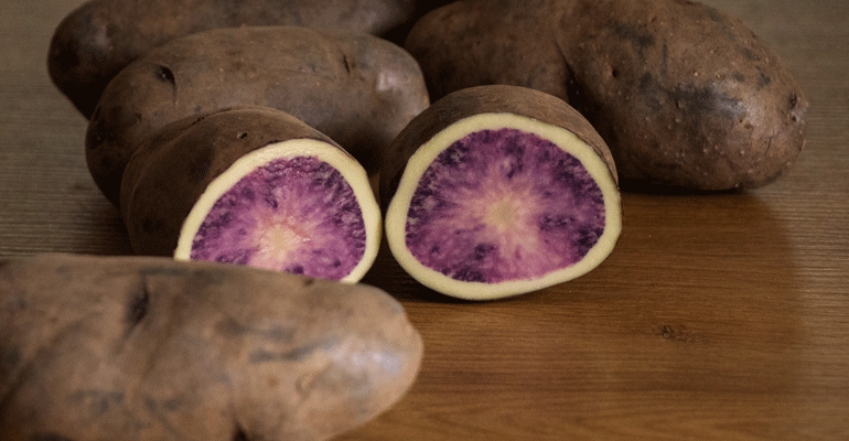 Atsegiñe, una nueva variedad de patata de carne bicolor orientada a la industria de ‘chips’