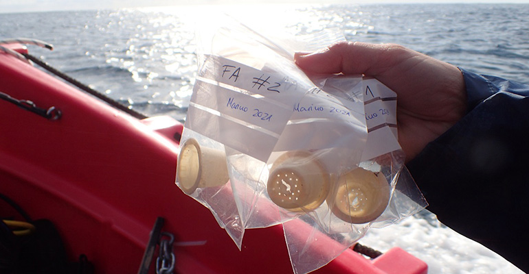 Desarrollan una cápsula de café compostable y biodegradable en el medio marino