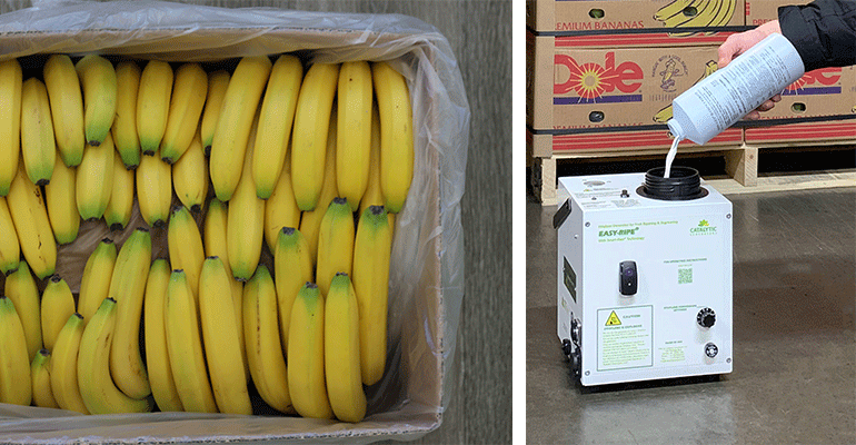 Catalytic Generators