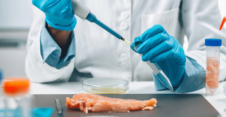 ITENE desarrollará sistemas de biosensado para detectar bacterias críticas en alimentación en menos de una hora
